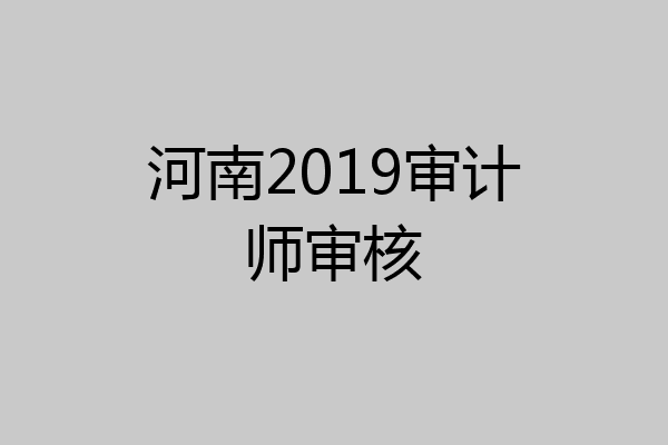 河南2019审计师审核