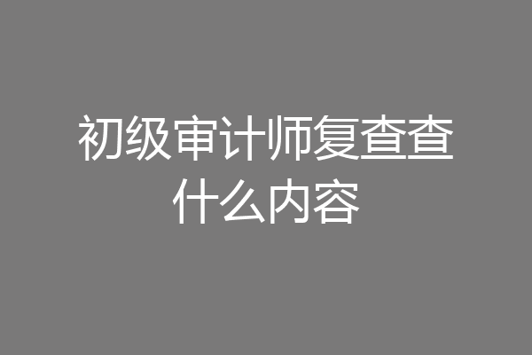 初级审计师复查查什么内容