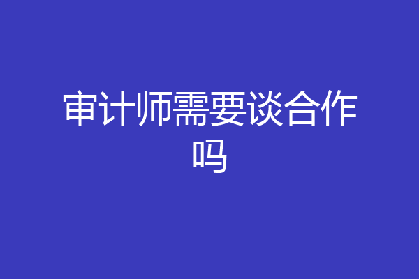 审计师需要谈合作吗