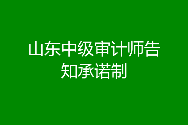 山东中级审计师告知承诺制