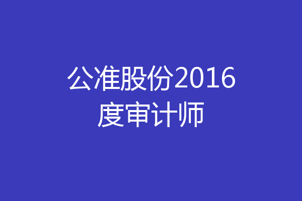 公准股份2016度审计师
