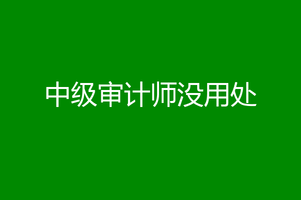 中级审计师没用处