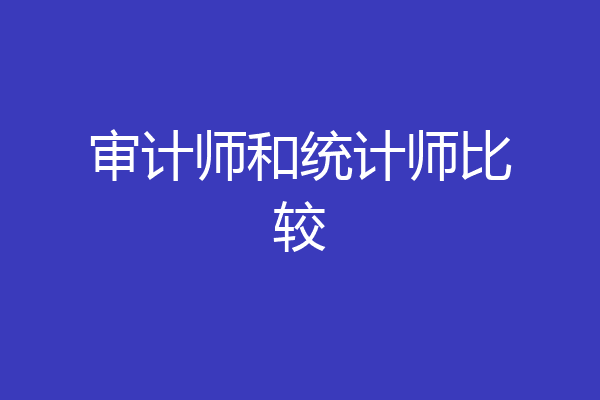 审计师和统计师比较