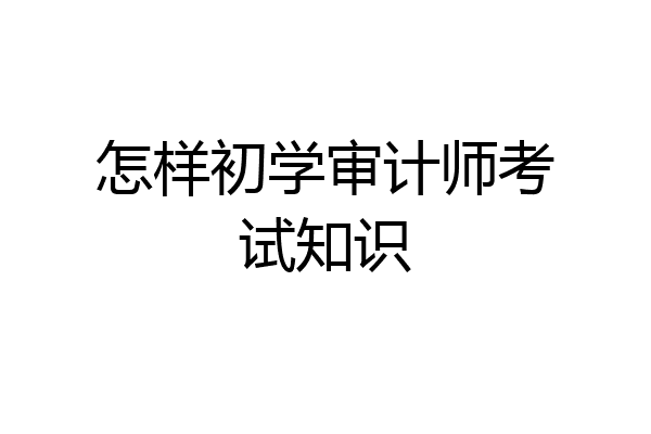 怎样初学审计师考试知识