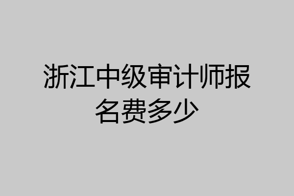 浙江中级审计师报名费多少