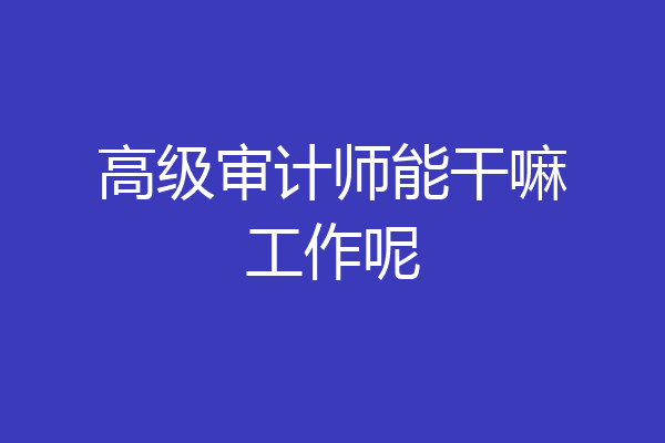 高级审计师能干嘛工作呢