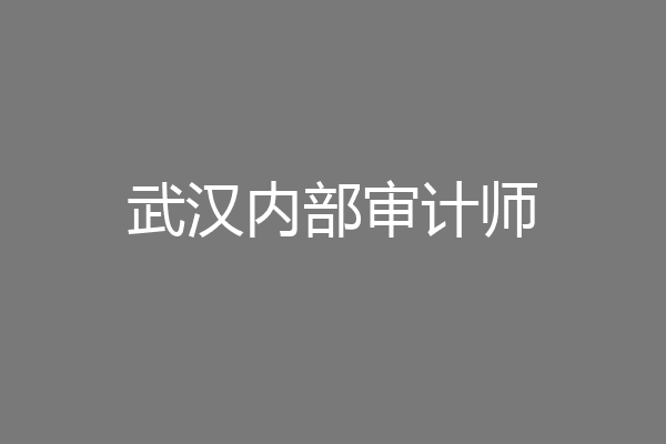武汉内部审计师