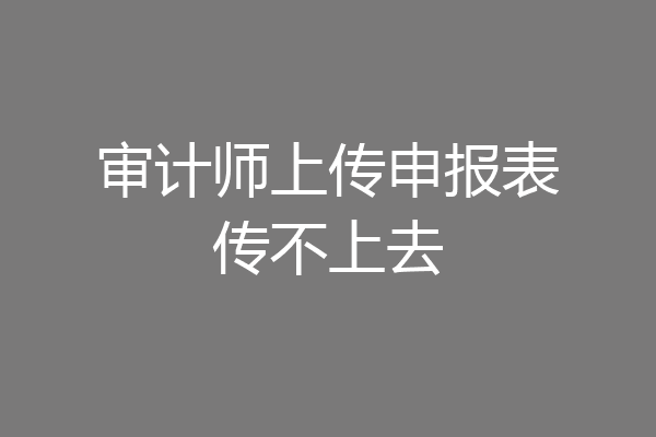 审计师上传申报表传不上去