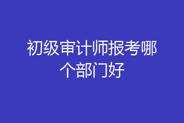 初级审计师报考哪个部门好