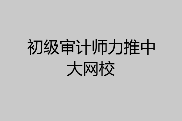 初级审计师力推中大网校