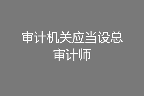 审计机关应当设总审计师