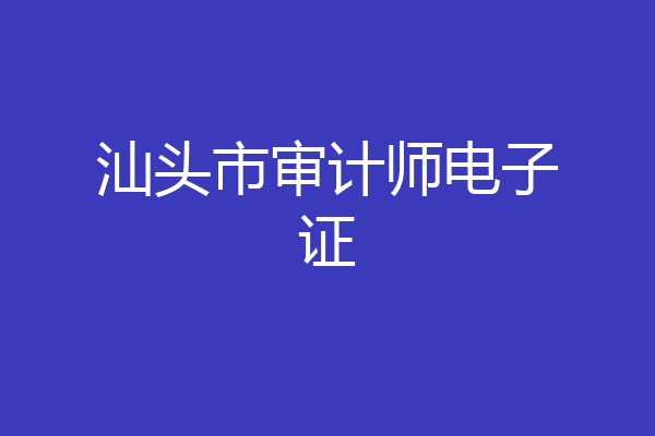 汕头市审计师电子证