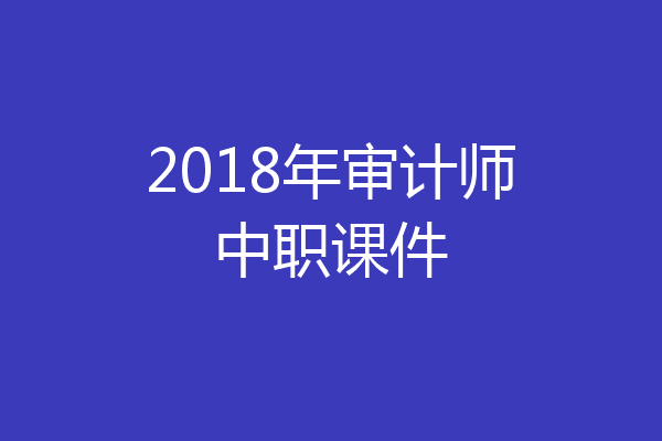 2018年审计师中职课件