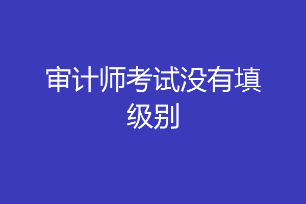 审计师考试没有填级别