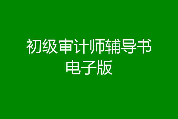 初级审计师辅导书电子版