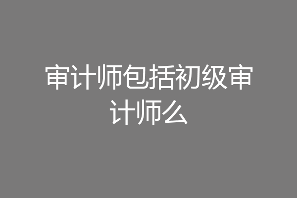 审计师包括初级审计师么