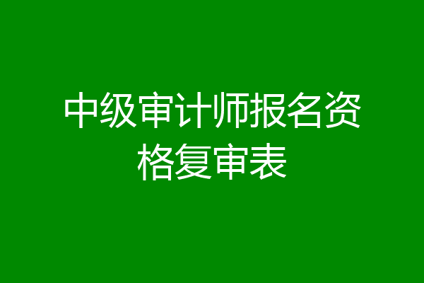 中级审计师报名资格复审表