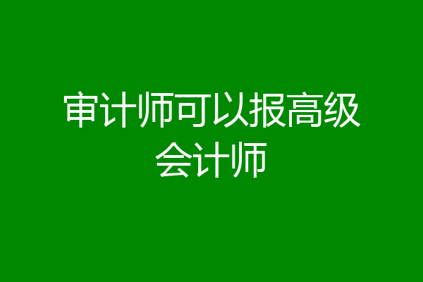 审计师可以报高级会计师