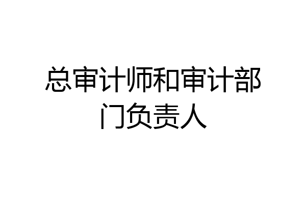 总审计师和审计部门负责人