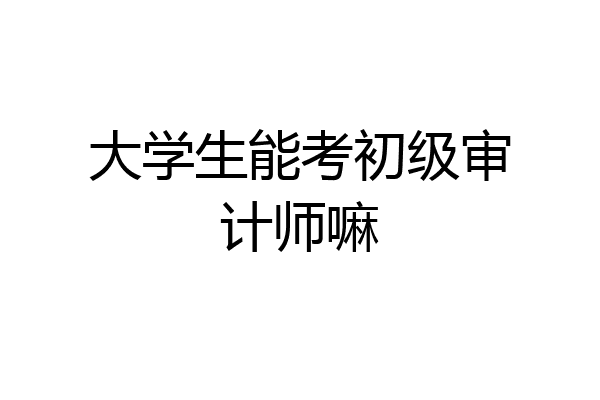 大学生能考初级审计师嘛