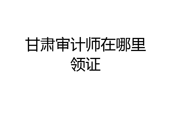 甘肃审计师在哪里领证