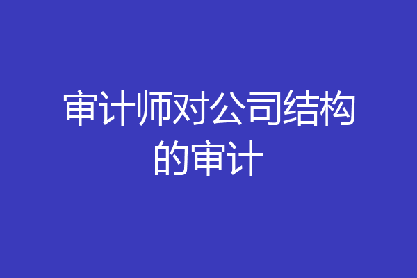 审计师对公司结构的审计
