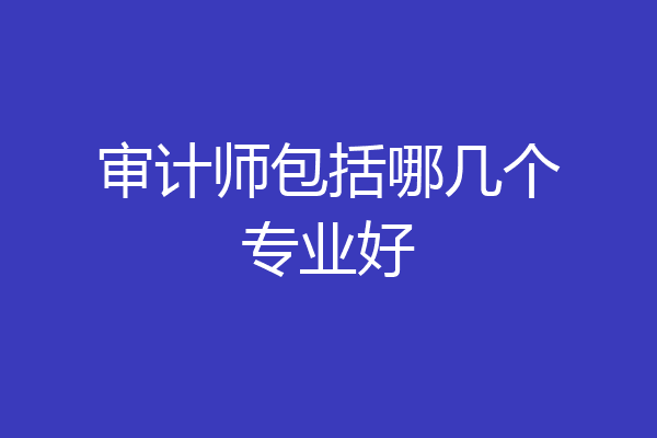 审计师包括哪几个专业好