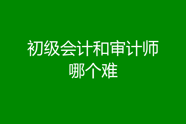 初级会计和审计师哪个难