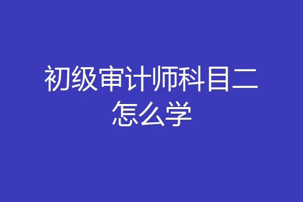 初级审计师科目二怎么学