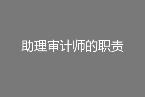 助理审计师的职责