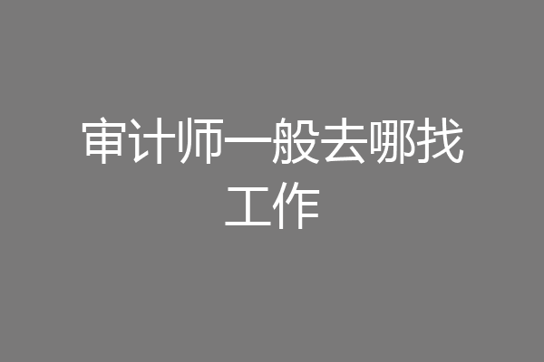 审计师一般去哪找工作