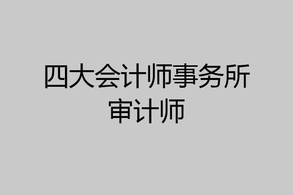 四大会计师事务所审计师