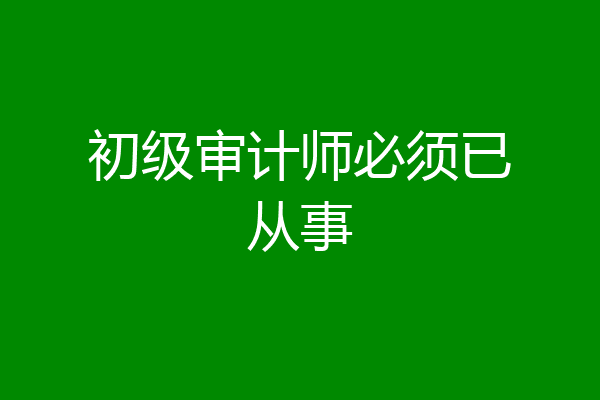 初级审计师必须已从事