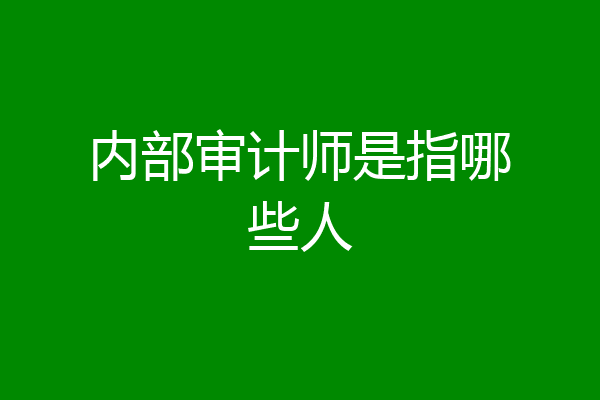 内部审计师是指哪些人