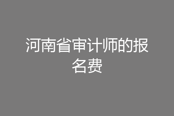 河南省审计师的报名费