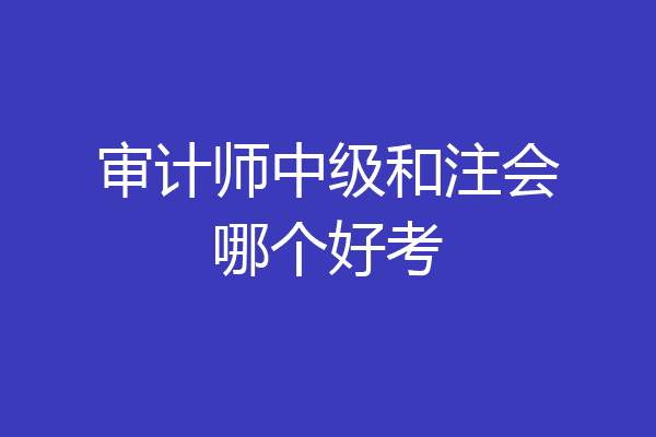 审计师中级和注会哪个好考