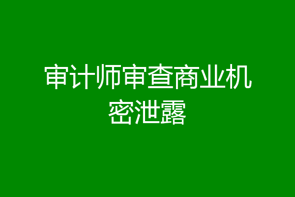 审计师审查商业机密泄露