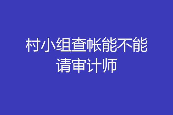 村小组查帐能不能请审计师