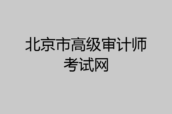 北京市高级审计师考试网