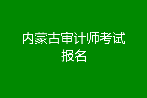 内蒙古审计师考试报名