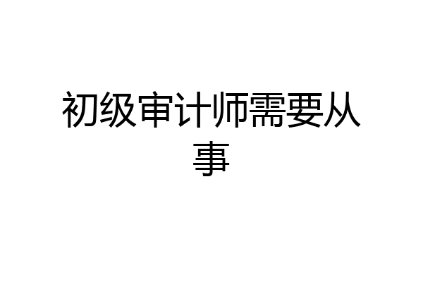 初级审计师需要从事