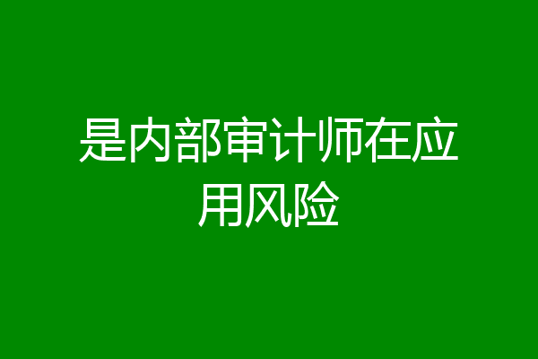 是内部审计师在应用风险