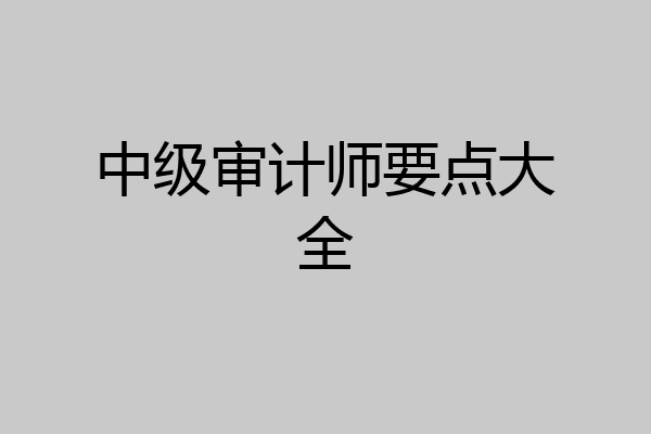 中级审计师要点大全