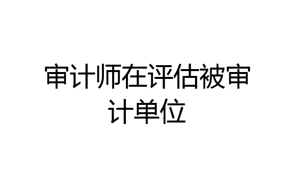 审计师在评估被审计单位