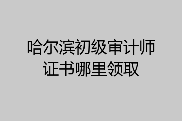 哈尔滨初级审计师证书哪里领取