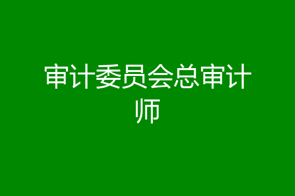 审计委员会总审计师