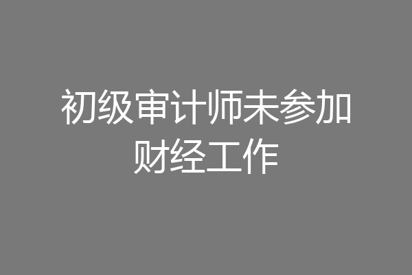 初级审计师未参加财经工作