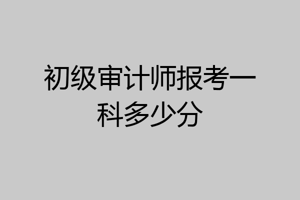 初级审计师报考一科多少分