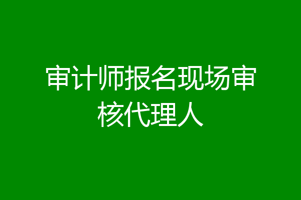 审计师报名现场审核代理人