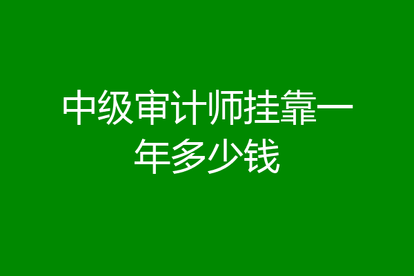 中级审计师挂靠一年多少钱